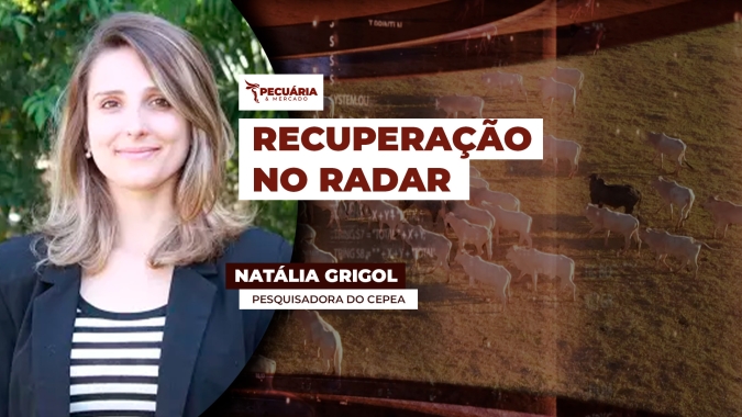 Mercado do leite reage pelo terceiro mês seguido , mas preços ainda não compensam perdas