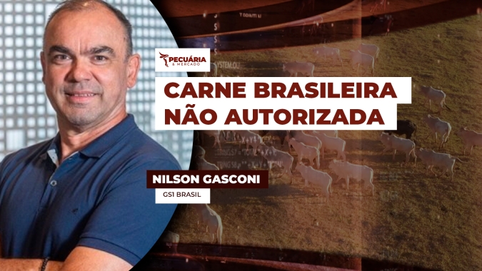 Adoção da rastreabilidade pode minimizar questionamentos sobre sanidade do rebanho brasileiro