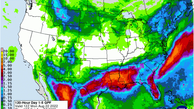 Soja: Chicago inicia semana em alta monitorando clima, demanda e quadro macroeconômico