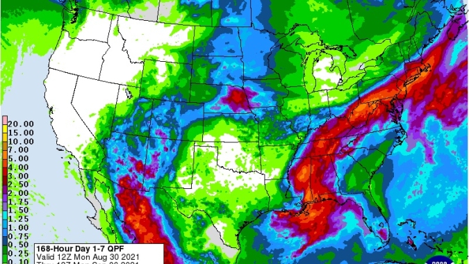 Soja da início à semana com estabilidade na Bolsa de Chicago focado no clima americano
