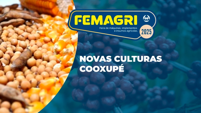 Novas culturas Cooxupé: cafeicultor deve aproveitar atual valorização do café para investir em outras culturas