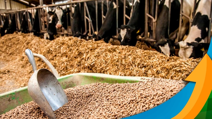 Isenção tributária para nutrição animal pode elevar PIB mostra estudo da Asbram