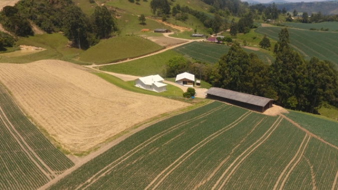 Projeção: VBP do agro em Mato Grosso do Sul pode crescer aproximadamente 11% em 2021