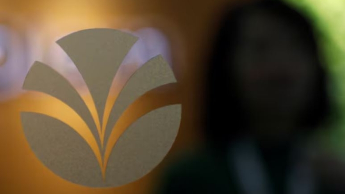 Olam se concentrará no negócio de ingredientes alimentícios e venderá o restante