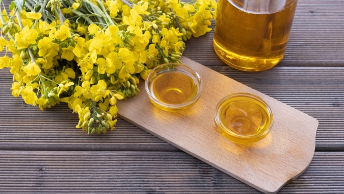 Preços do farelo e óleo de canola disparam na China após tarifas de 100% sobre canadenses