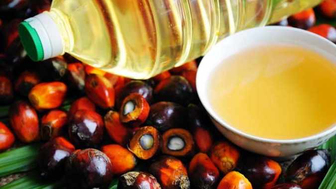 Estoque de óleo de palma da Malásia em junho atinge maior nível em quatro meses