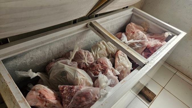 Agrodefesa interdita abatedouro clandestino de suínos em Aragoiânia