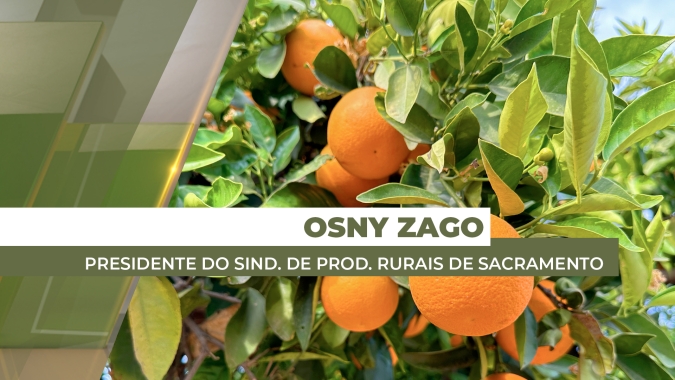 Entidades se unem para proteger laranjais do Triângulo Mineiro do greening