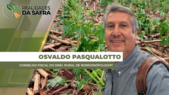Sul do Mato Grosso começa a colheita da soja e plantio do milho