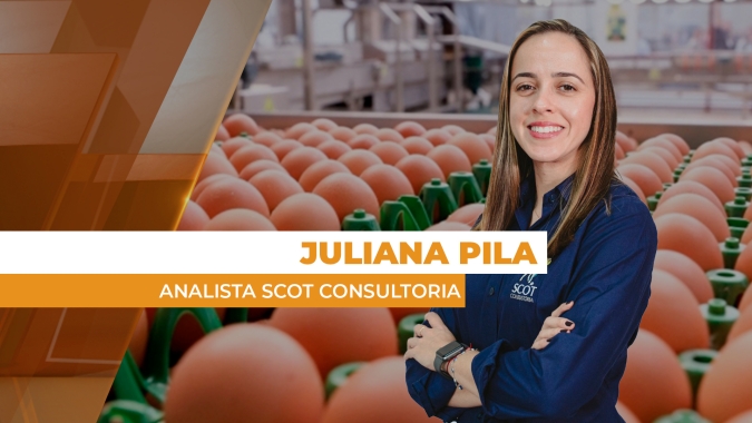 Preço dos ovos na granja e no atacado sobem mais de 24% em fevereiro