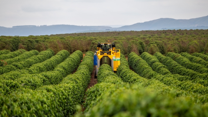 Confiante no potencial de mercado brasileiro, Oxbo inaugura fábrica em Uberaba (MG)