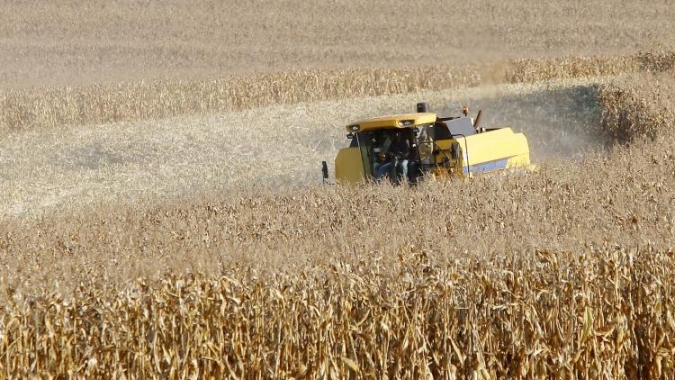 Paraná desponta como novo polo de etanol de milho com salto de 71% na produção