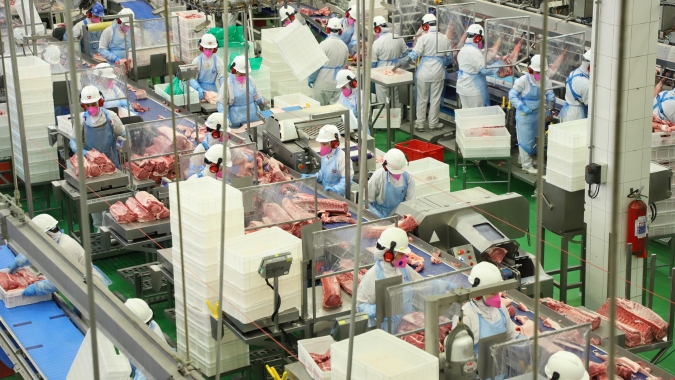 Santa Catarina bate recorde na exportação de carnes em 2024