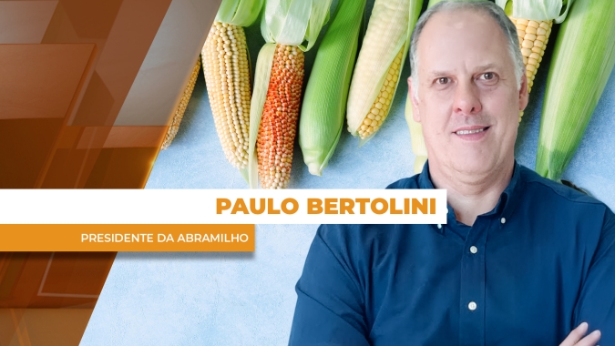 Tensões geopolíticas e acordos comerciais trazem apreensão para o milho brasileiro