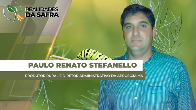 Sidrolândia/MS precisou fazer até seis aplicações contra lagartas na safrinha de milho