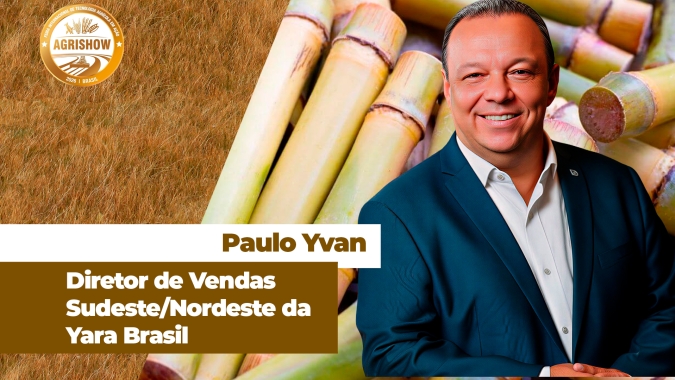 Colheita da nova safra de cana-de-açúcar começa com boas expectativas de produtividade