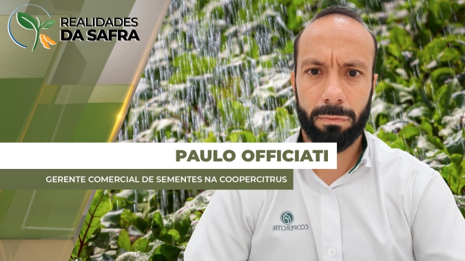 Região de Bebedouro/SP avança na colheita da soja esperando boa produtividade