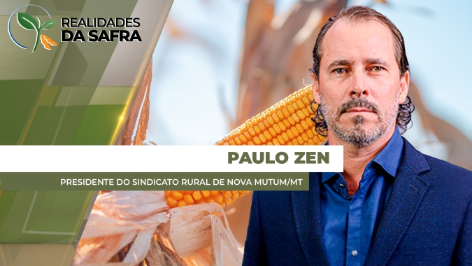 Colheita do milho deve começar na próxima semana em Nova Mutum/MT