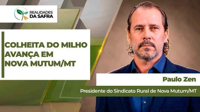 Colheita do milho avança em Nova Mutum/MT com boas produtividades, mas alerta para avarias