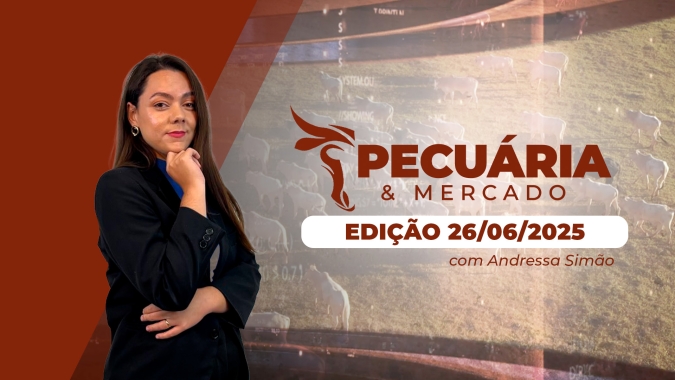 Oferta ajustada mantém arroba do boi estável, enquanto suinocultura garante margens com milho mais barato