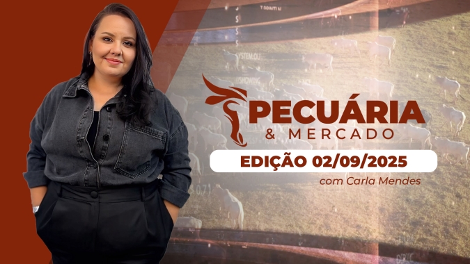 Exportações brasileiras de carne seguem muito intensas e são principal fator de suporte aos preços do boi