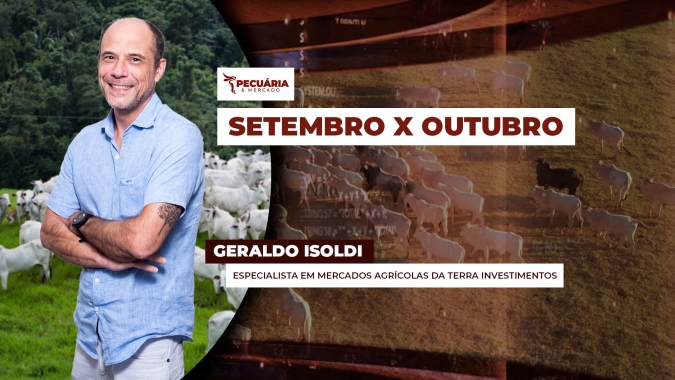 Outubro deve iniciar ainda sob pressão da oferta e limitação nos preços da arroba