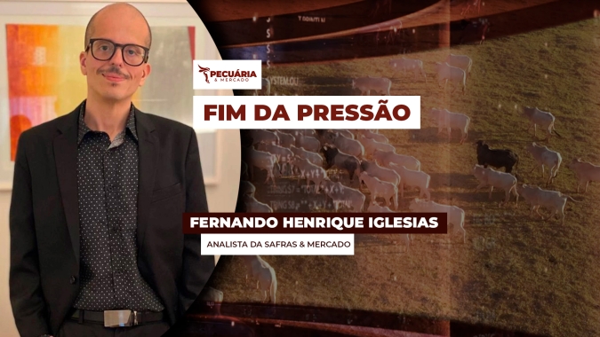 Pressão sobre arroba do boi gordo tende a ficar para trás com alguns sinais de melhora na relação oferta e demanda