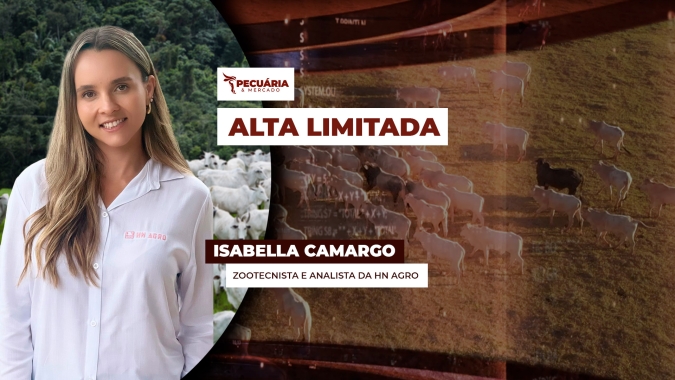 Tendência é de mercado truncado e com altas limitadas para arroba ao longo de setembro