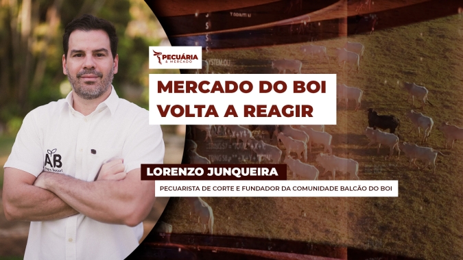 Mercado do boi gordo reage com alta na B3 e expectativa de novos recordes de exportação