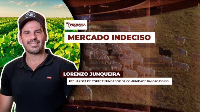 Preços da arroba seguem entre altas e baixas nas principais praças pecuárias, mas viés é positivo para setembro