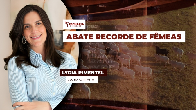Pela primeira vez na série histórica do IBGE, abate de fêmeas supera o de machos