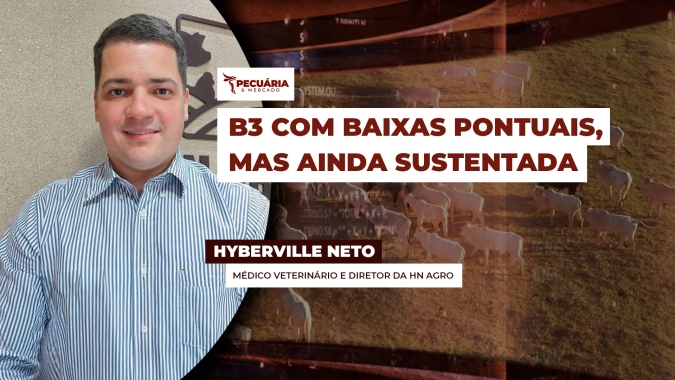 Boi Gordo: B3 tem baixas pontuais nesta 3ª feira, mas exportações fortes ainda mantêm mercado sustentado