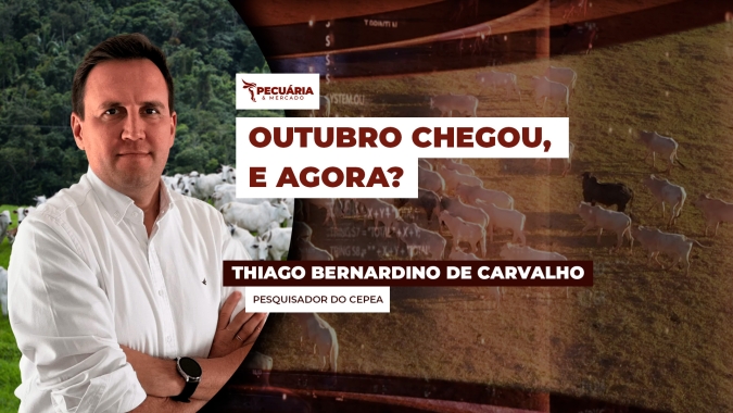 Diminui pressão dos frigoríficos sobre arroba e mercado já sinaliza retomada das altas