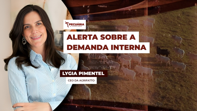 Tendência é positiva para os preços da arroba, mas demanda interna pode ser um limitador da alta, alerta Lygia Pimentel