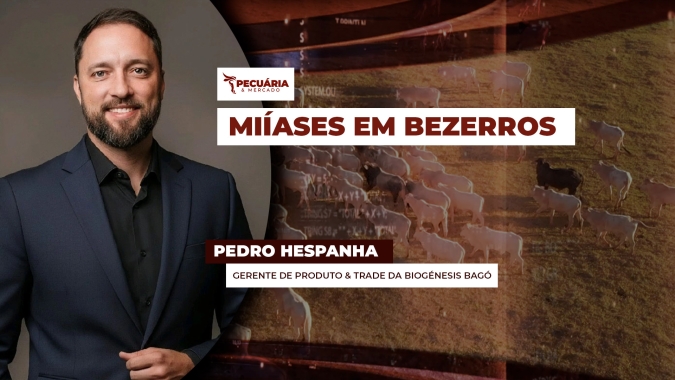 As novidades no controle das bicheiras em bezerros e a importância de um tratamento bem feito