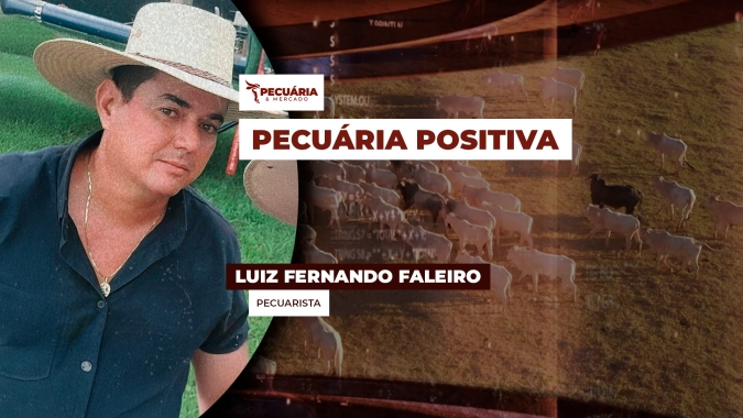 Pecuarista em GO está otimista com mercado do boi e fala de arroba a R$400 até o final do ano