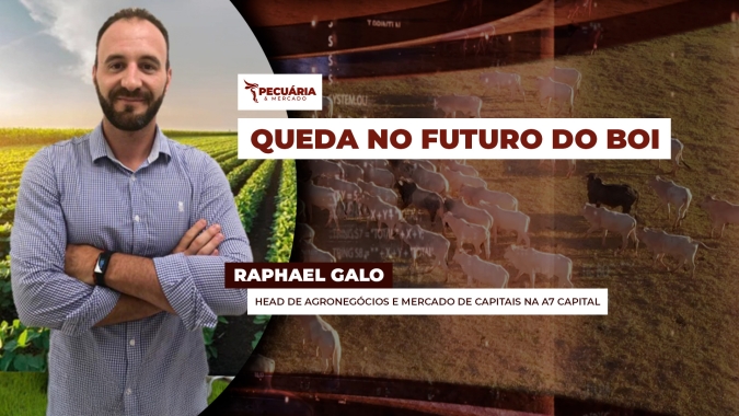 Mercado futuro do boi recua forte depois de bater os R$320/@ e agora testa suporte dos R$309/@ na B3