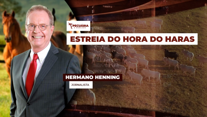 Jornalista Hermano Henning fala sobre o mundo dos cavalos, suas paixões e seus desafios