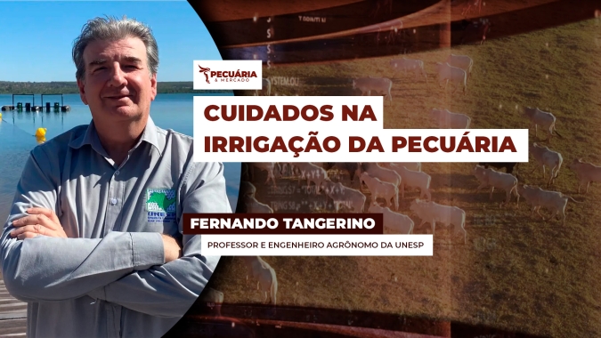 Como definir o melhor sistema e identificar o momento certo de se fazer a irrigação das pastagens