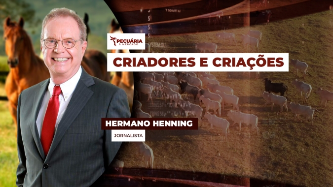 Hermano Henning destaca região de SP que se tornou referência na criação de cavalos