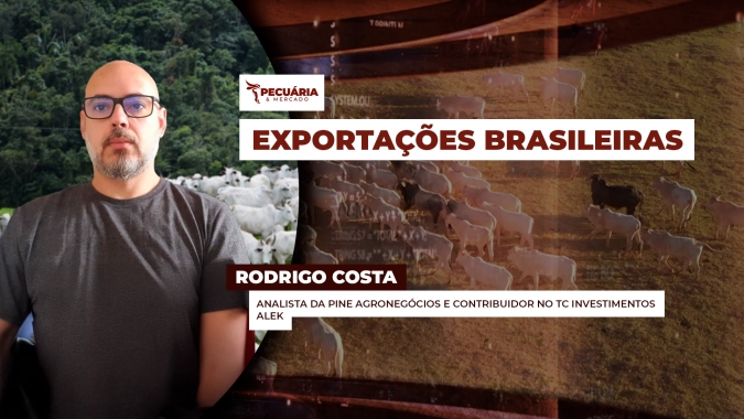 Brasil mantém escoamento de carne bovina mesmo diante de tensões com os EUA