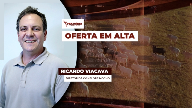 Pecuarista do interior de SP confirma incentivo para ampliação de oferta dos animais e resultado está aparecendo agora