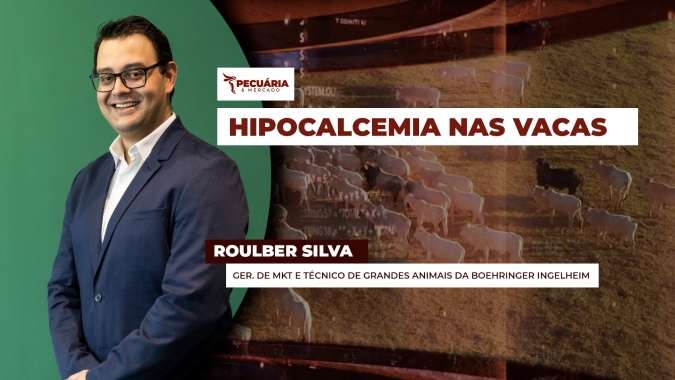 A hipocalcemia é um problema provocado pela falta de cálcio no pós-parto comprometendo produção e até matando o animal