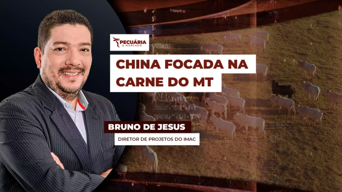 China responde por mais de 51% das carne bovina exportada pelo MT de janeiro a julho