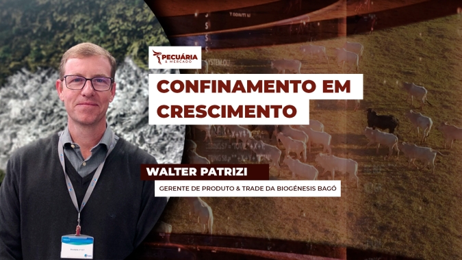 Setembro conta com volume de confinamento 16,5% acima de 2024; ano terá novo recorde