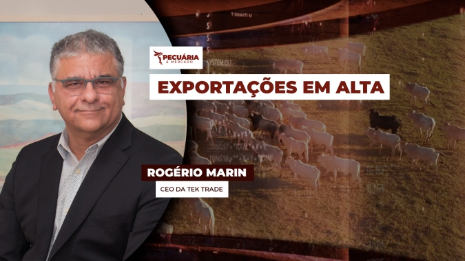 Exportações de carne bovina devem crescer 6% em 2025 mesmo sem participação dos EUA , estima Tek Trade