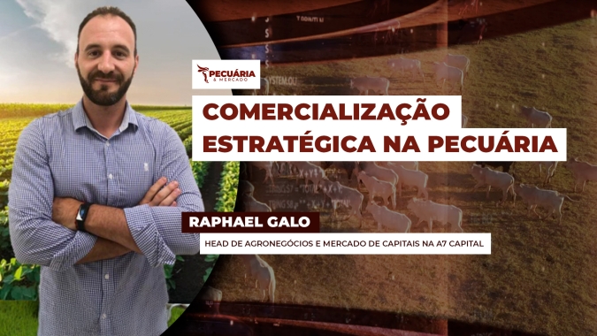 Comercialização segue como desafio para pecuarista brasileiro que ainda não domina ferramentas de proteção dos preços