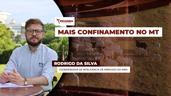 Confinamento em MT deve crescer quase 4% com perspectiva de alta da arroba e custos menores