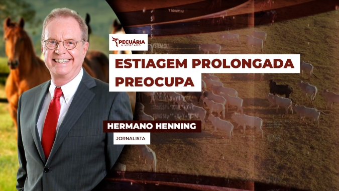 Estiagem prolongada restringe água e eleva custo nos Haras do interior de SP