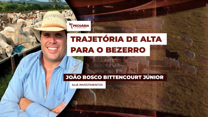 Reposição segue trajetória de alta , mesmo diante da recente pressão nos preços da arroba no mercado físico